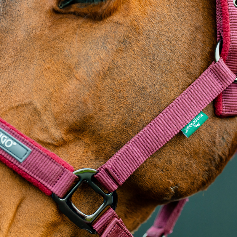 Horseware Amigo Headcollar and Leadrope Set - Mulberry-4