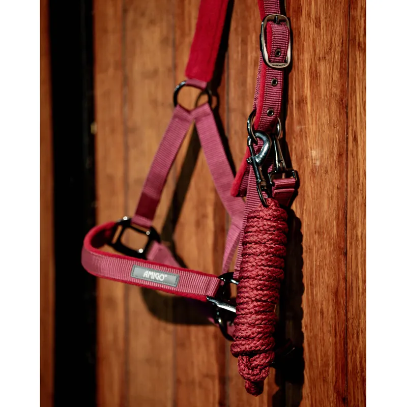 Horseware Amigo Headcollar and Leadrope Set - Mulberry-2