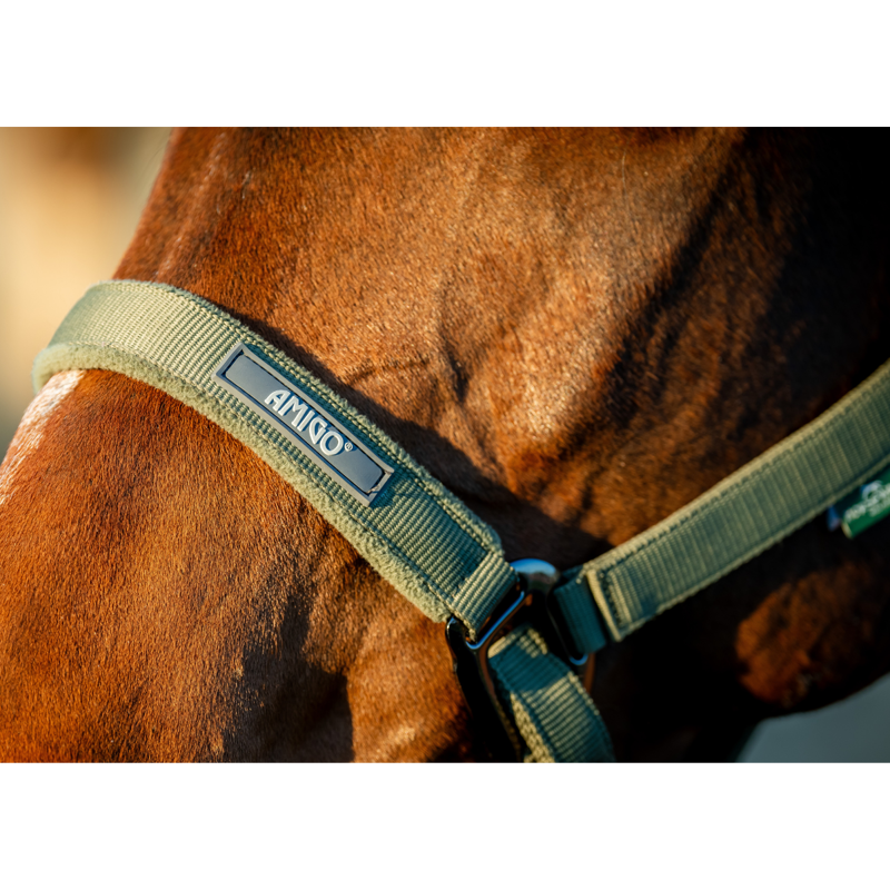 Horseware Amigo Headcollar and Leadrope Set - Bramble-4