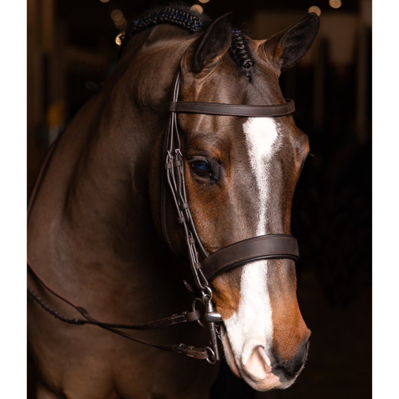 LeMieux Flat Hunter Bridle with Laced Reins - Havana/Silver-1
