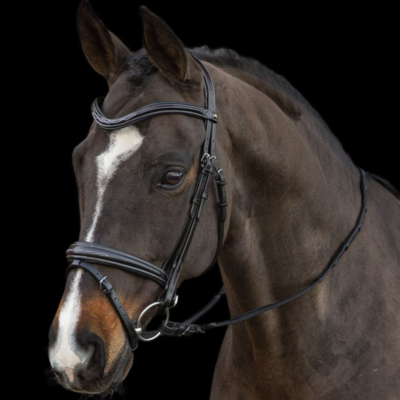 Schockemohle Monza F Bridle - Black/Cream/Silver-1