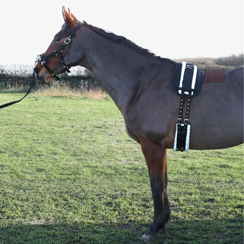 Hy Equestrian Lunge Roller Pad - Black-1