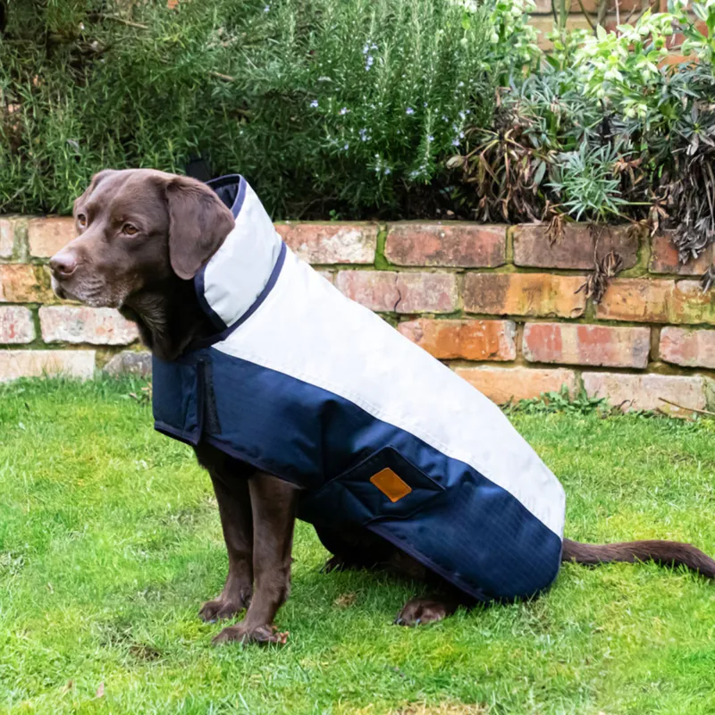 Benji and Flo Waterproof Dog Coat - Navy/Reflective Silver-1