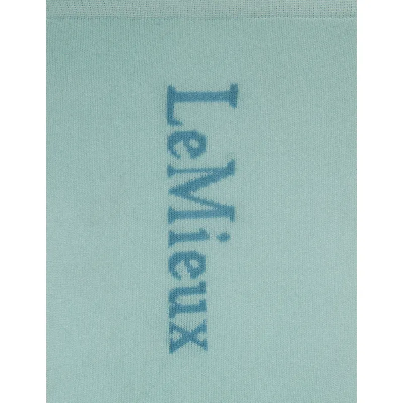 LeMieux Competition Socks - Aqua-1