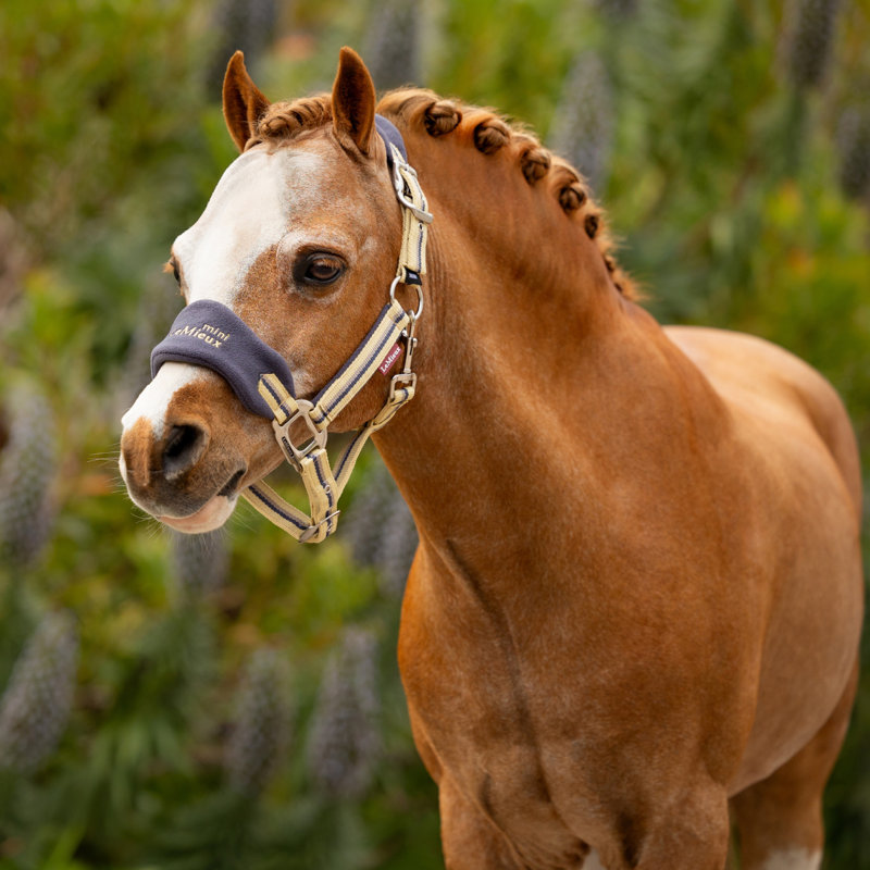 LeMieux Mini Vogue Headcollar And Leadrope - Dusk Blue-1