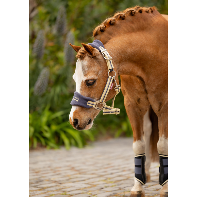 LeMieux Mini Vogue Headcollar And Leadrope - Dusk Blue-2