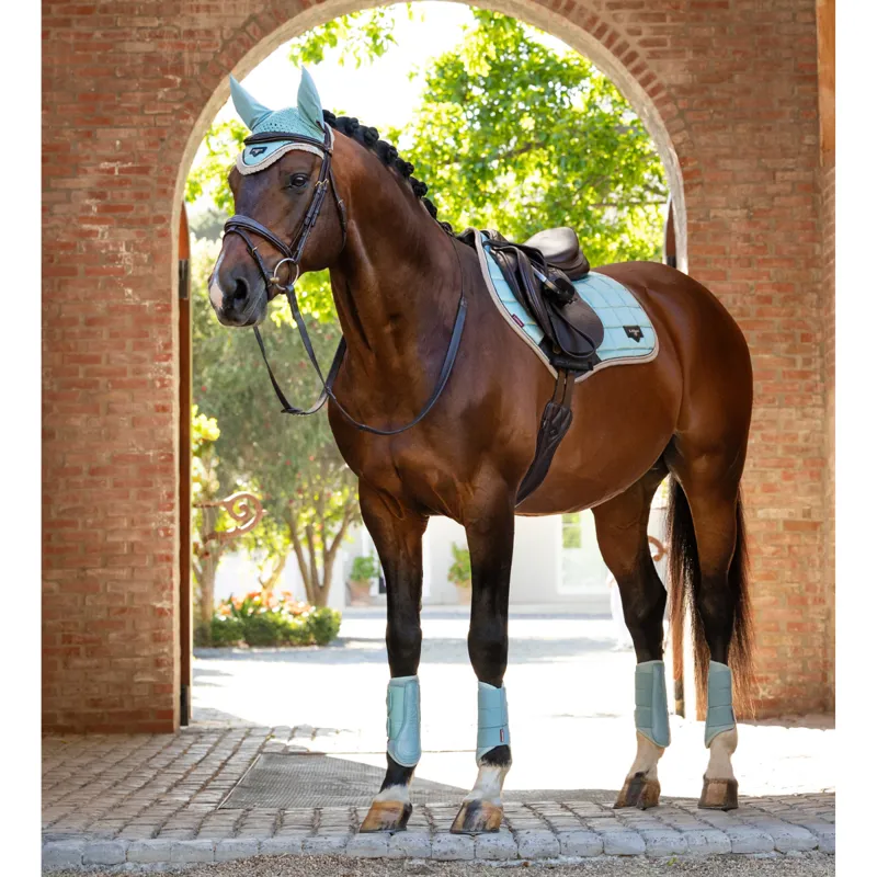 LeMieux Loire Fly Hood - Aqua-3