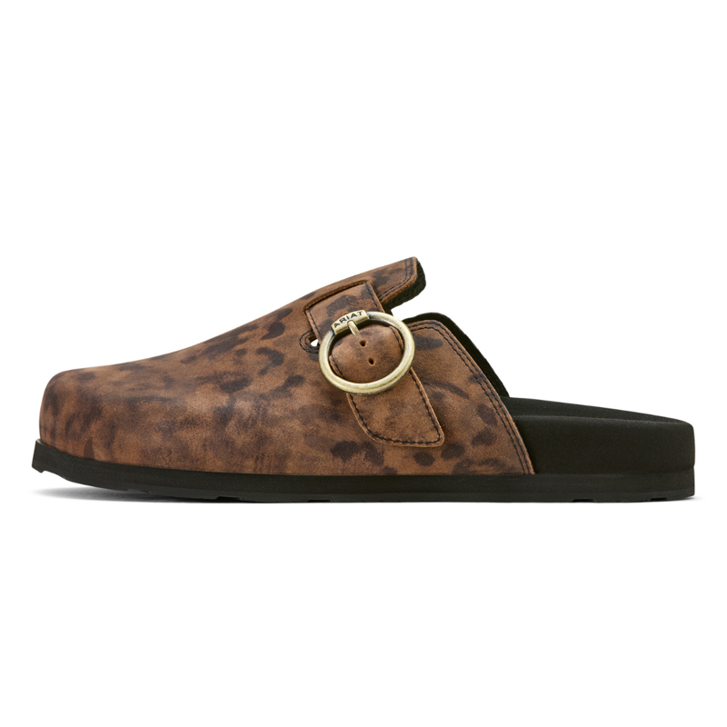 Ariat Women's Country Mule - Leopard Suede-1