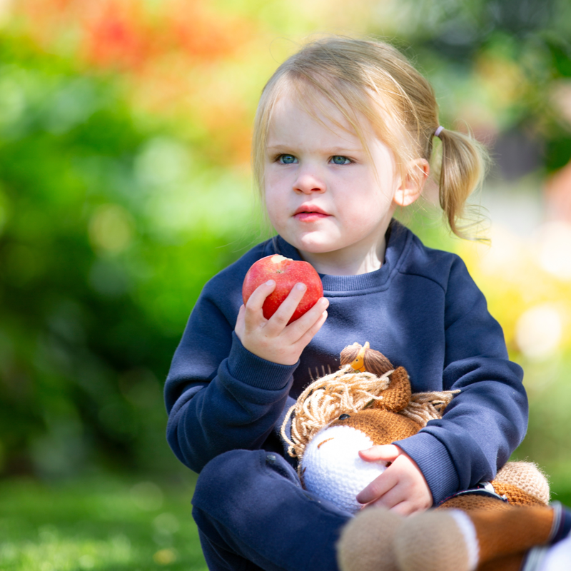 Shires Winne and Me Sweatshirt - Navy-4