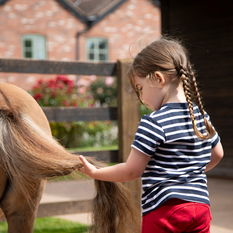 Shires Winnie and Me T-Shirt - Navy-6