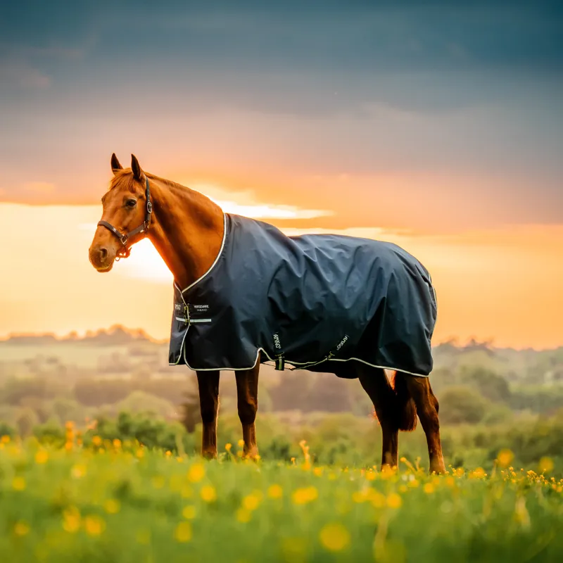 Horseware Amigo Ripstop 900D  Light 100g Turnout Rug -  Witney Navy