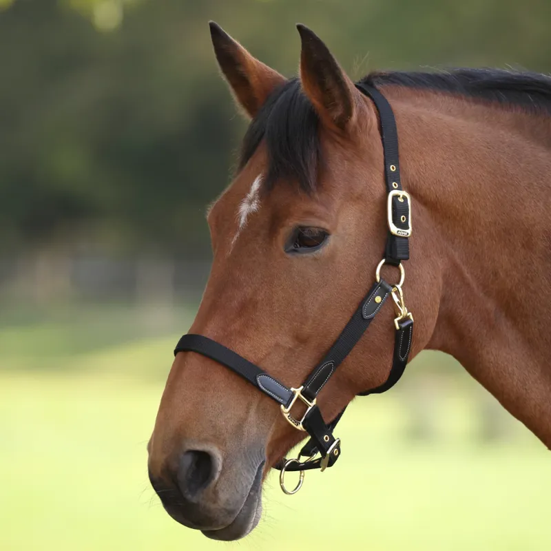 Shires ARMA Porto Headcollar - Black-1