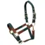 Shires ARMA Porto Headcollar - Green