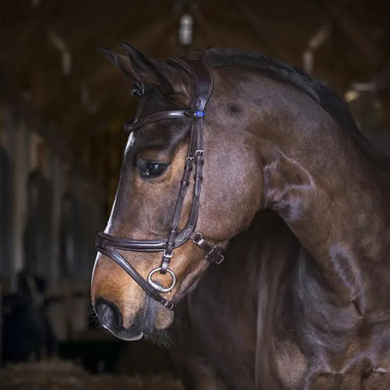 PS Of Sweden Jump Off Revolution Bridle - Brown