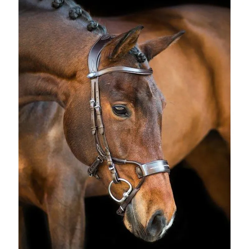PS Of Sweden High Jump Revolution Bridle - Brown