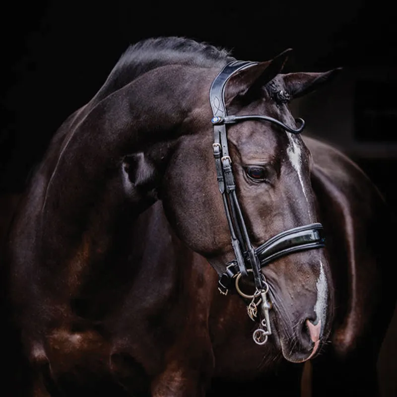 PS Of Sweden Passage Patent Double Bridle - Black