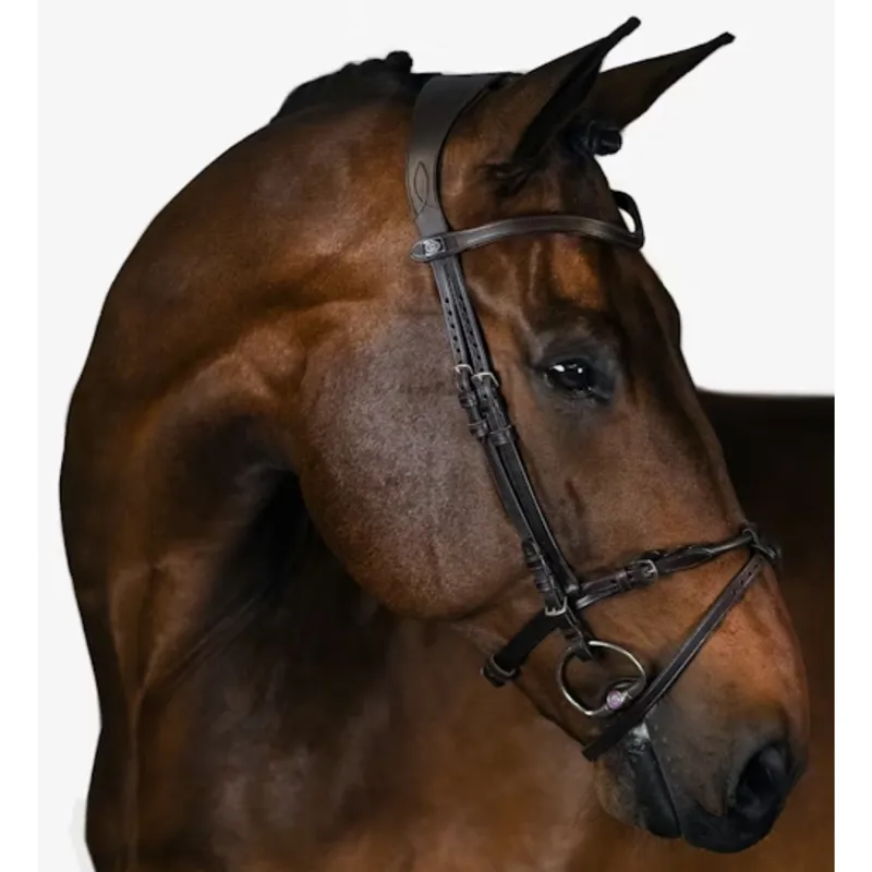 PS Of Sweden Henrik von Eckermann Bridle - Brown