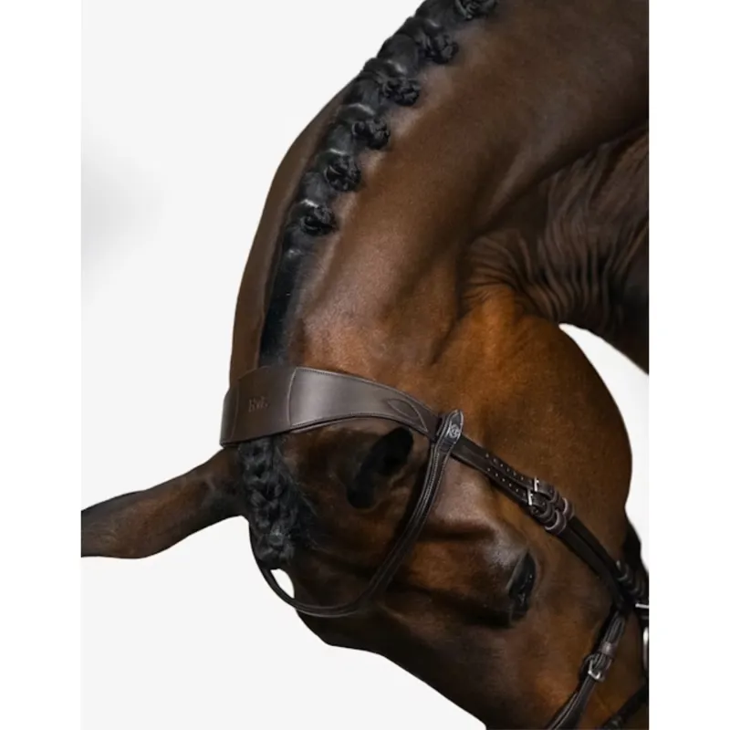 PS Of Sweden Henrik von Eckermann Bridle - Brown-1