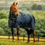 Horseware Amigo Ripstop 900D Plus 0g Light Turnout Rug - Witney Navy