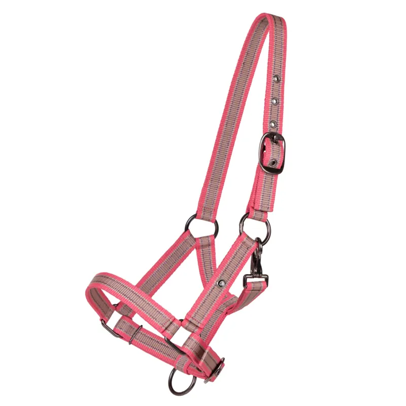 QHP Headcollar Foal Collection - Flamingo