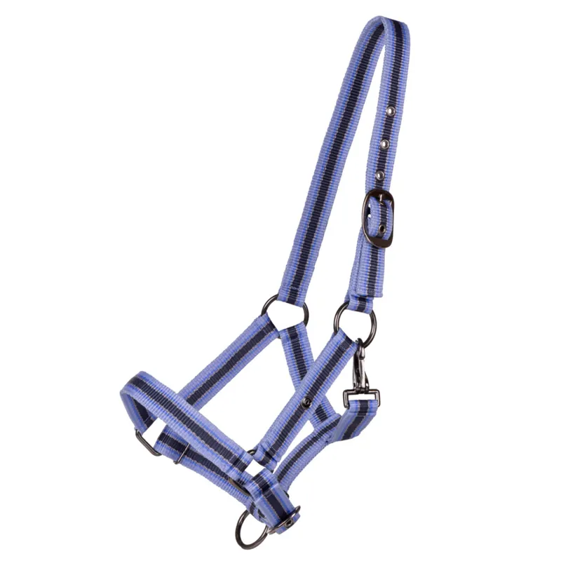 QHP Headcollar Foal Collection - Purple Sunset