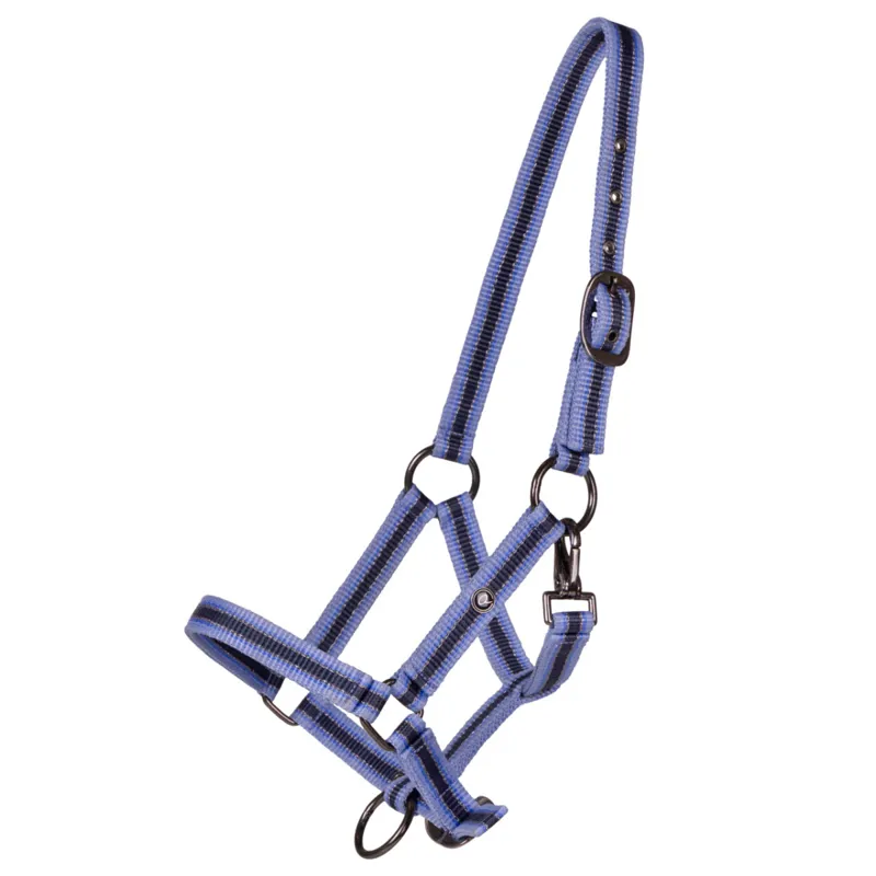 QHP Headcollar Yearling Collection - Purple Sunset