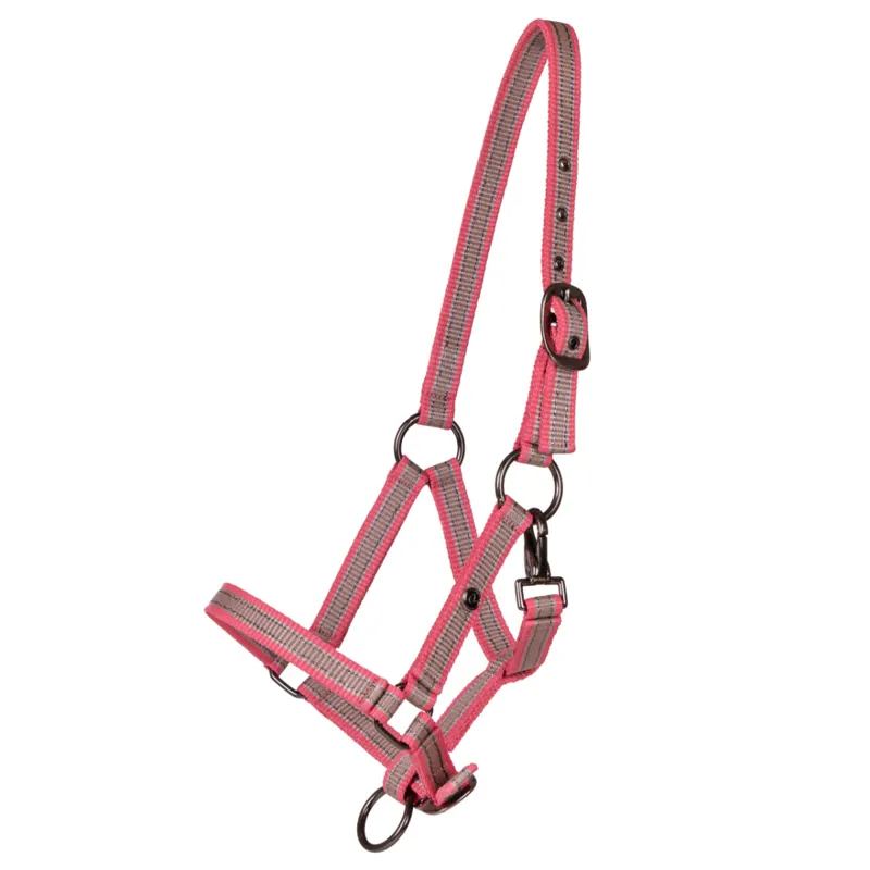 QHP Headcollar Yearling Collection - Flamingo