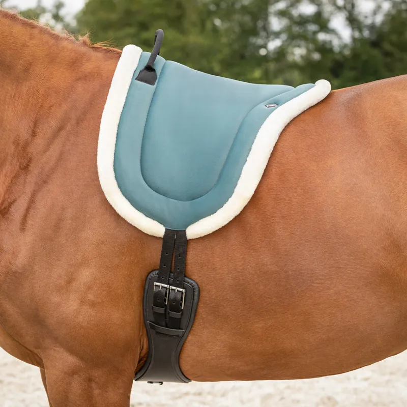 QHP Bareback Pad - Petrol-1