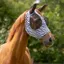QHP Super Bug Fly Mask - Zebra