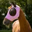 QHP Super Bug Fly Mask - Unicorn