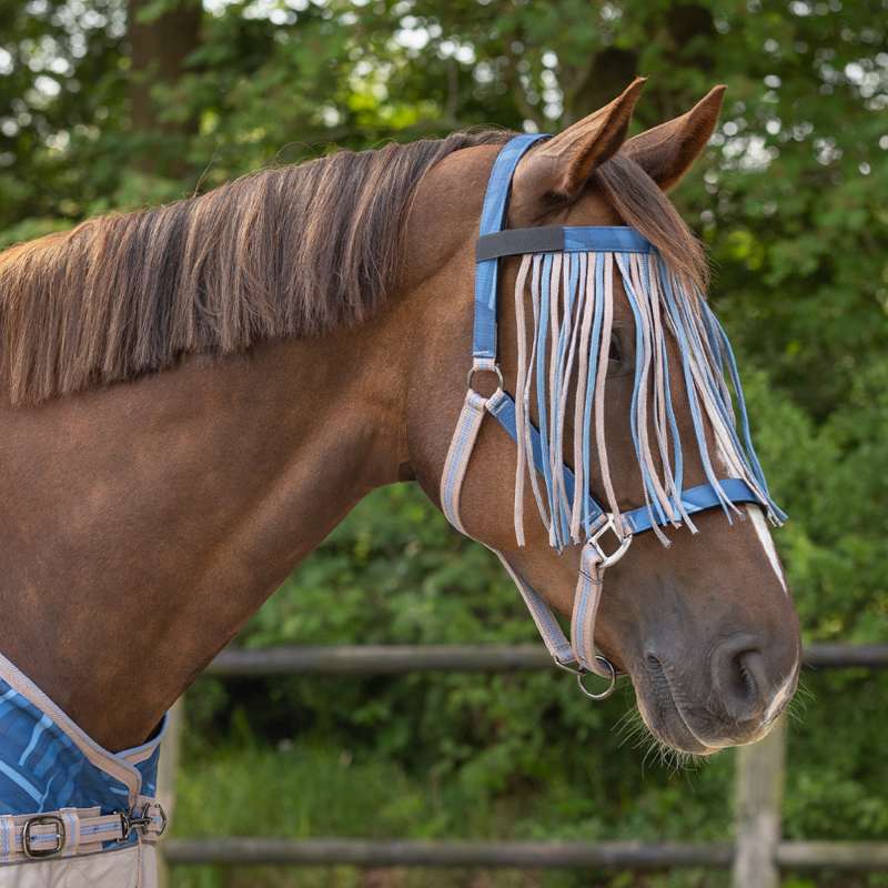 QHP Anti-fly Fringe Collection - Seashell-2