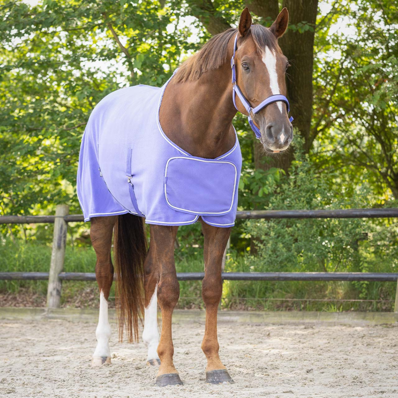 QHP Fleece Rug with Ornament - Purple/Silver-1