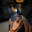 Horseware Amigo Earnet - Navy