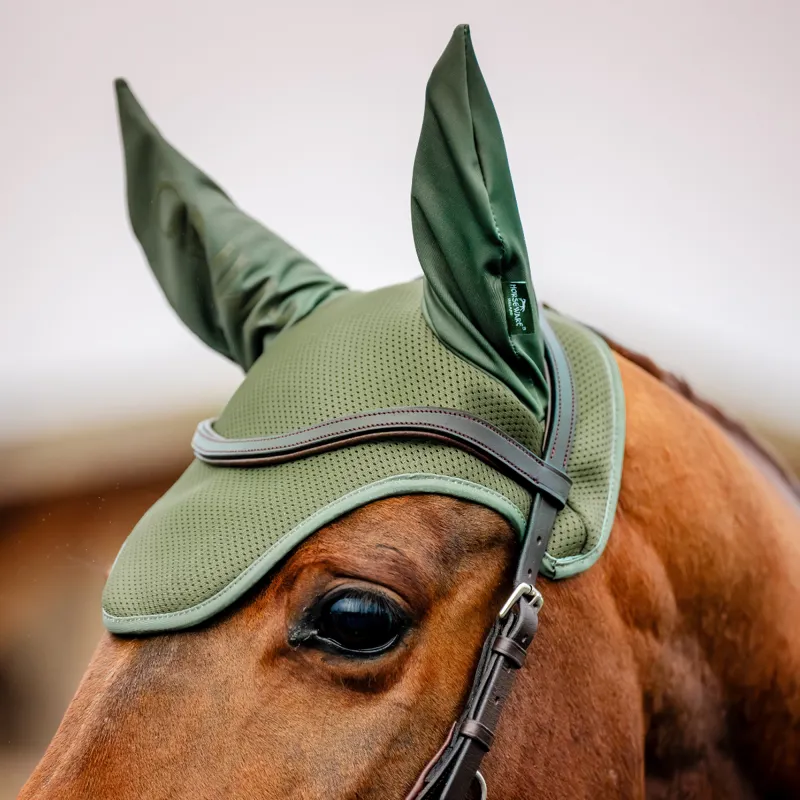 Horseware Amigo Earnet - Bramble-2