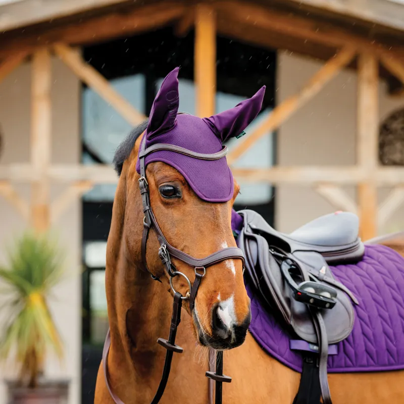 Horseware Amigo Earnet - Winterberry-2