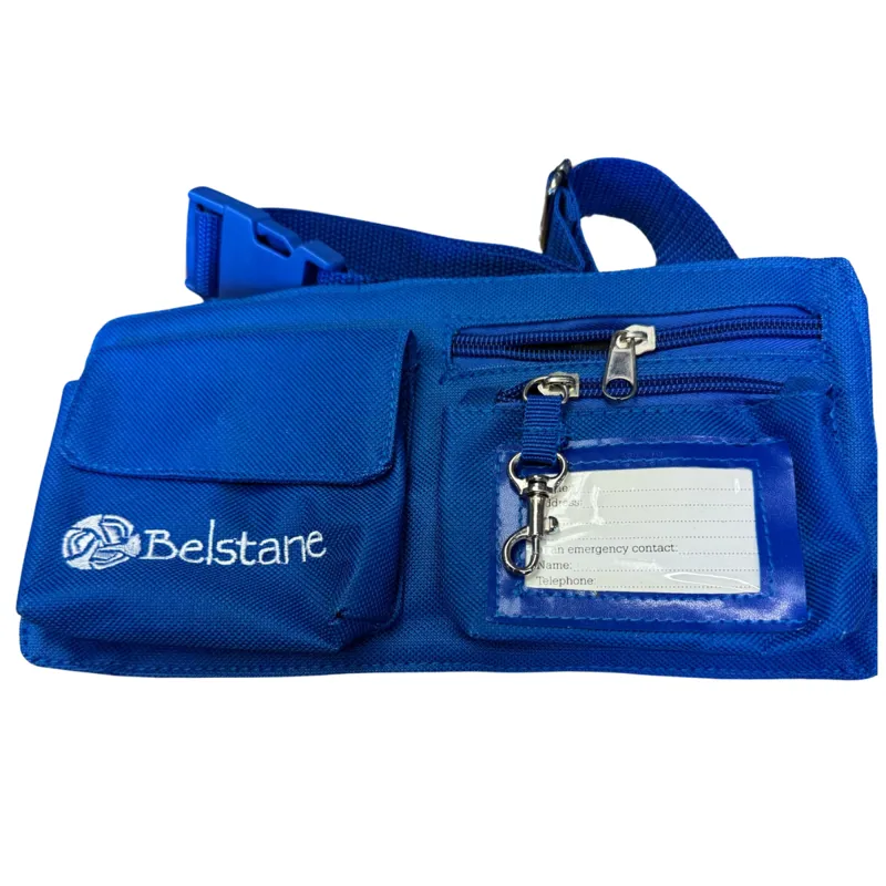 Belstane Waist Bag - Blue