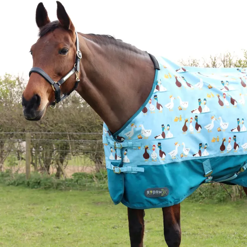 Hy StormX Original Ay Up Duck 0 Turnout Rug - Blue/Turquoise-1