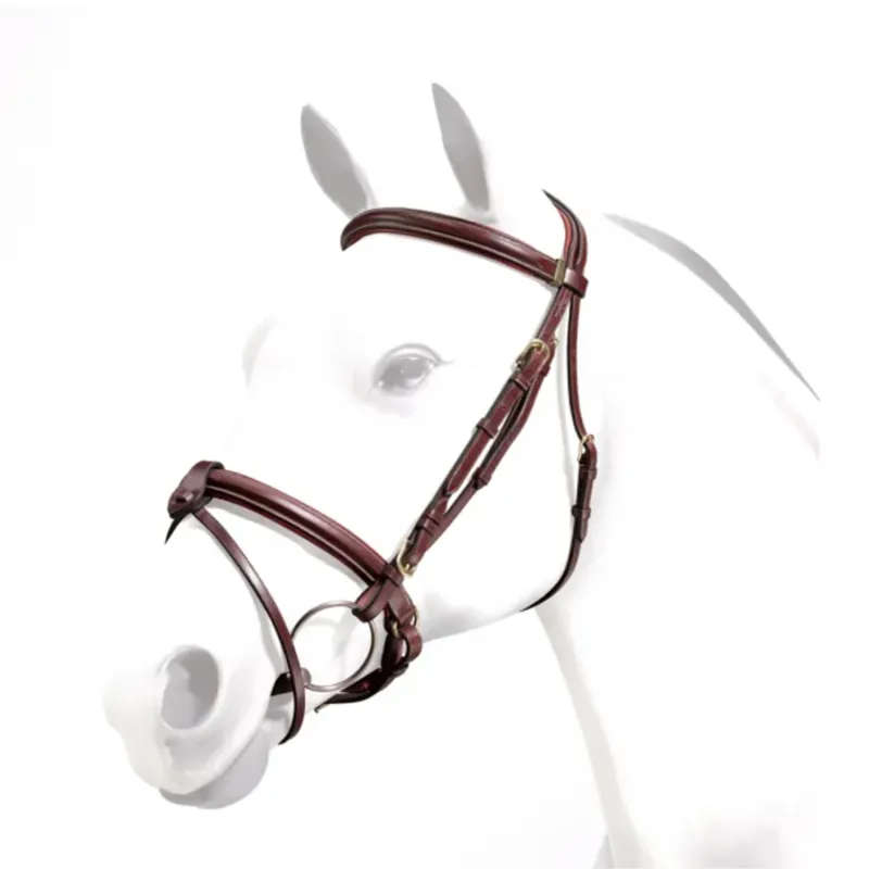 Equipe Emporio Padded Bridle With Crank Nose Band and Detachable Flash - Red/Brown/Brass