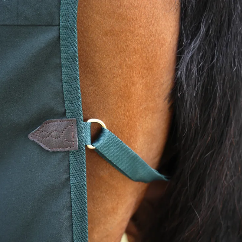 Shires Deluxe Stable Sheet - Green-3