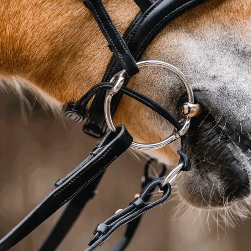 Sprenger Leather Gag Cheeks - Black-1