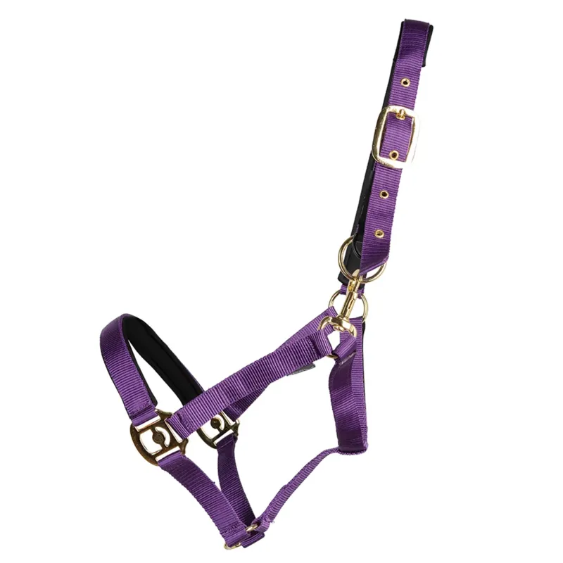 Hy Equestrian Fieldsafe Headcollar - Purple