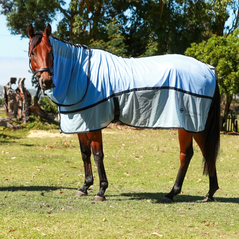 Equilibrium Quick Chill Cool Rug with Detachable Neck - Light Blue-1