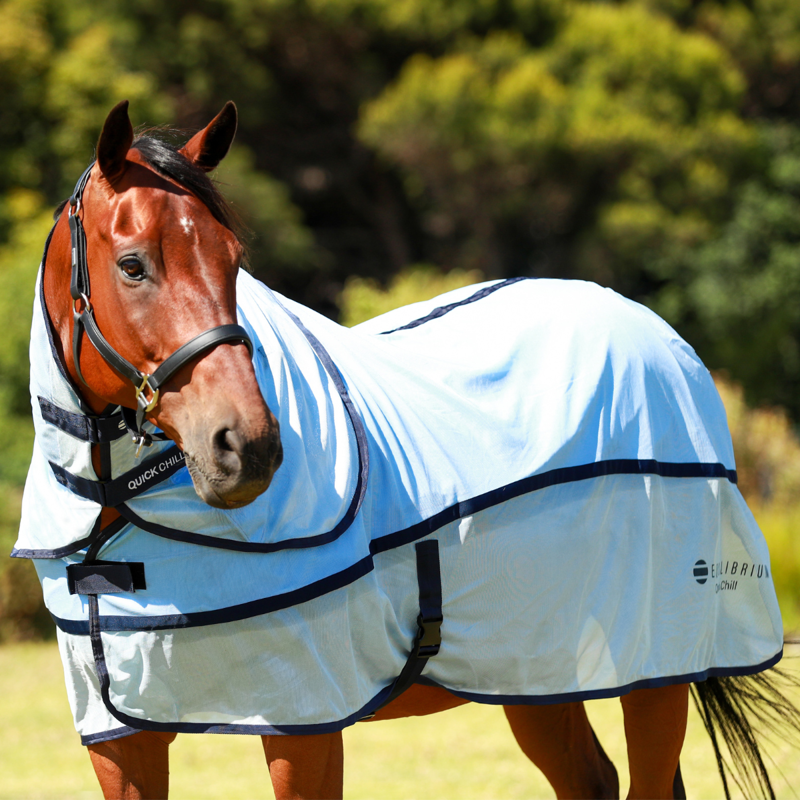 Equilibrium Quick Chill Cool Rug with Detachable Neck - Light Blue-4