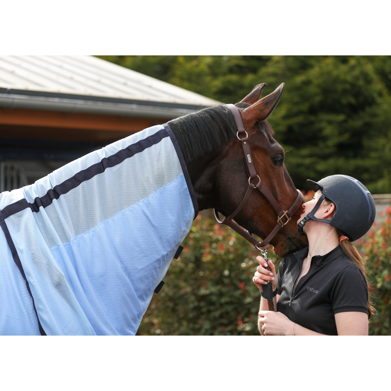 Equilibrium Quick Chill Cool Rug with Detachable Neck - Light Blue-8