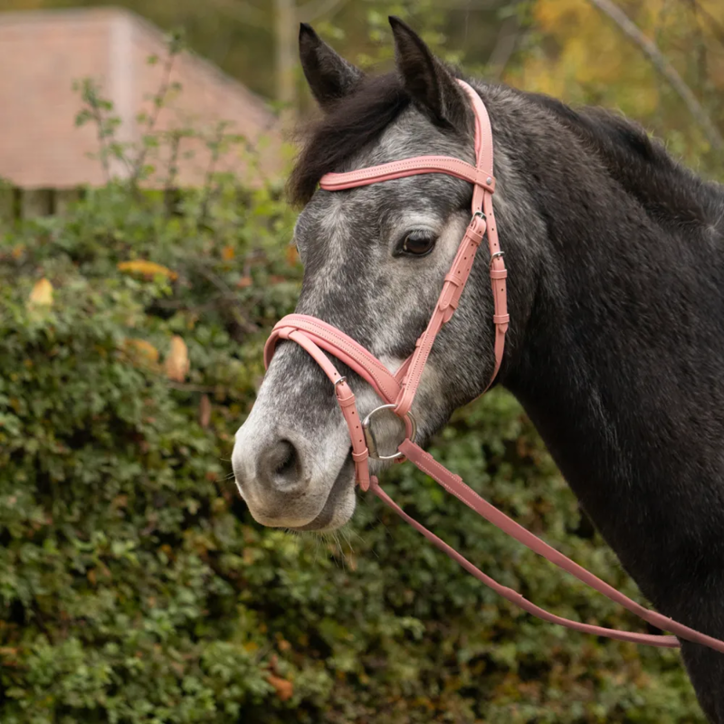 Little Rider Serena Bridle - Pink-2