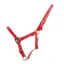 Hy HyCONIC Headcollar - Red