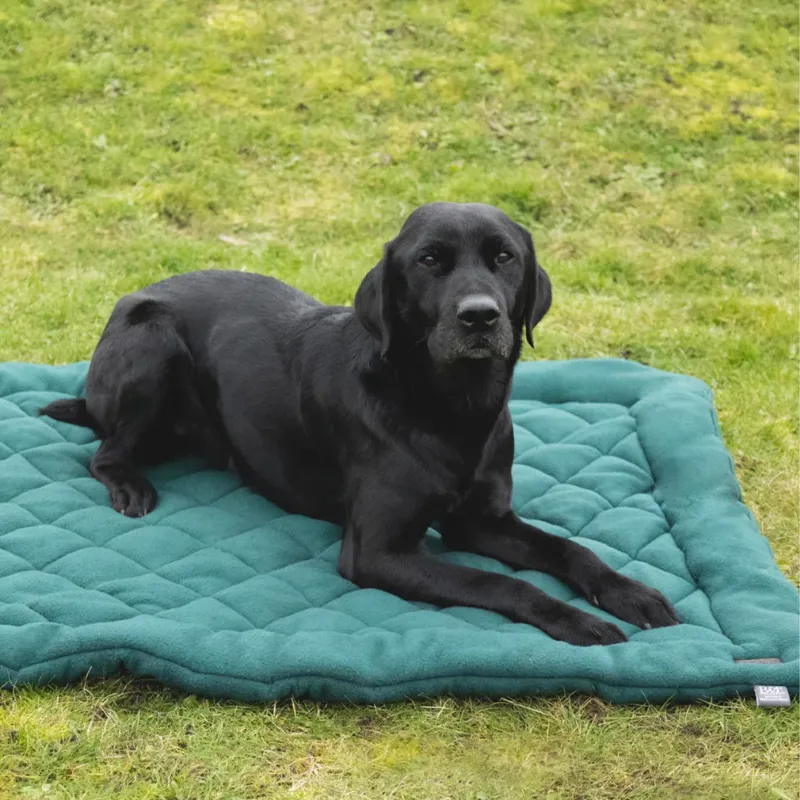 Benji and Flo Essential Fleece Dog Bed - Green-2