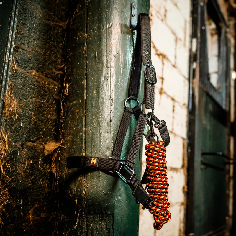 Horseware Newmarket Headcollar and Leadrope - Witney Gold-5