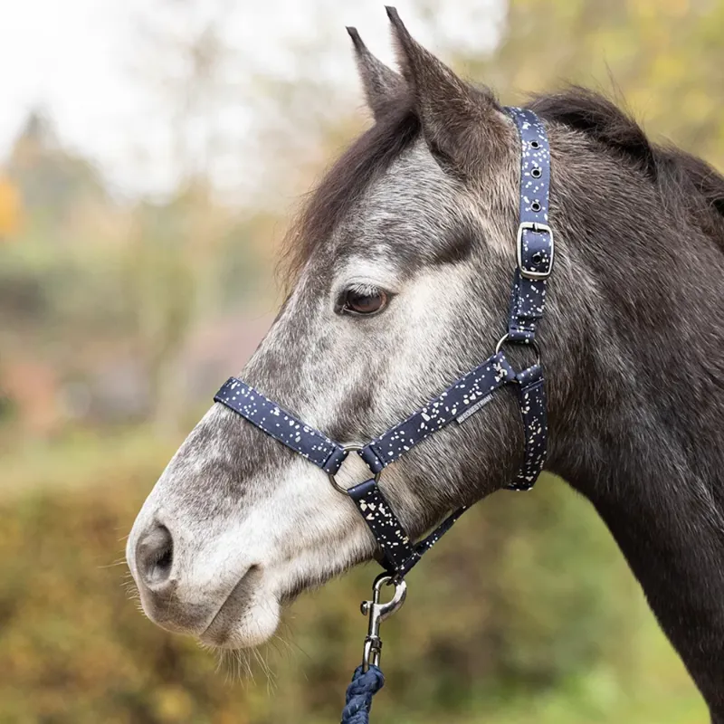 Hy Equestrian Elevate Allure Headcollar and Leadrope - Navy/Gun Metal Grey