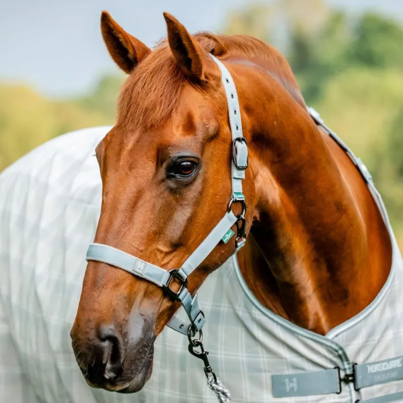 Horseware Newmarket Headcollar and Leadrope - Witney Charcoal-3